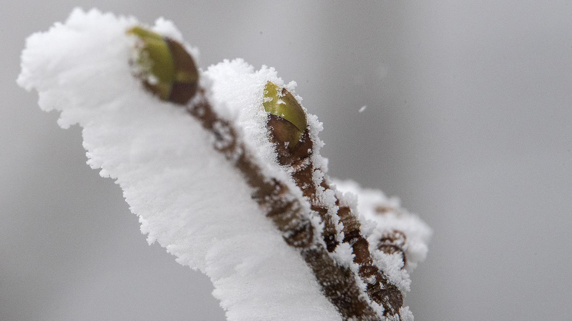 Фото: Sebastian Gollnow globallookpress.com