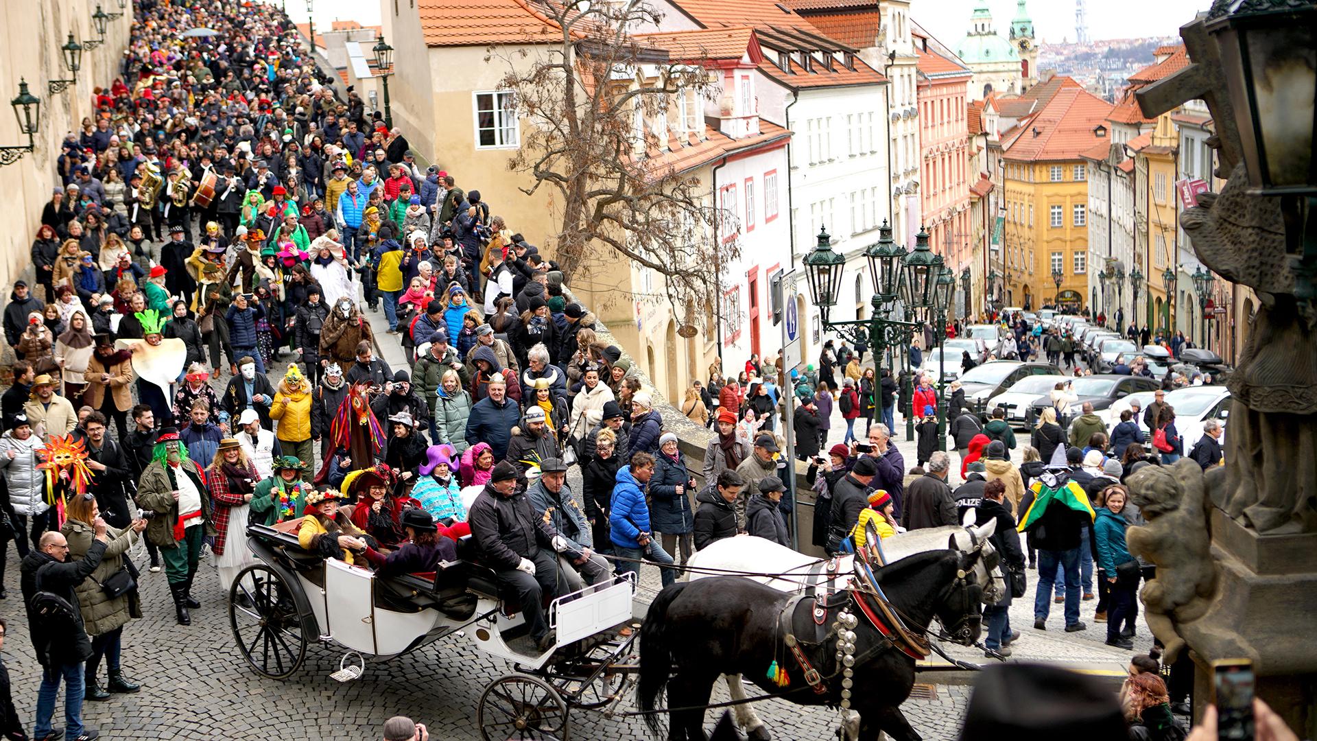 Фото: Dana Kesnerova globallookpress.com