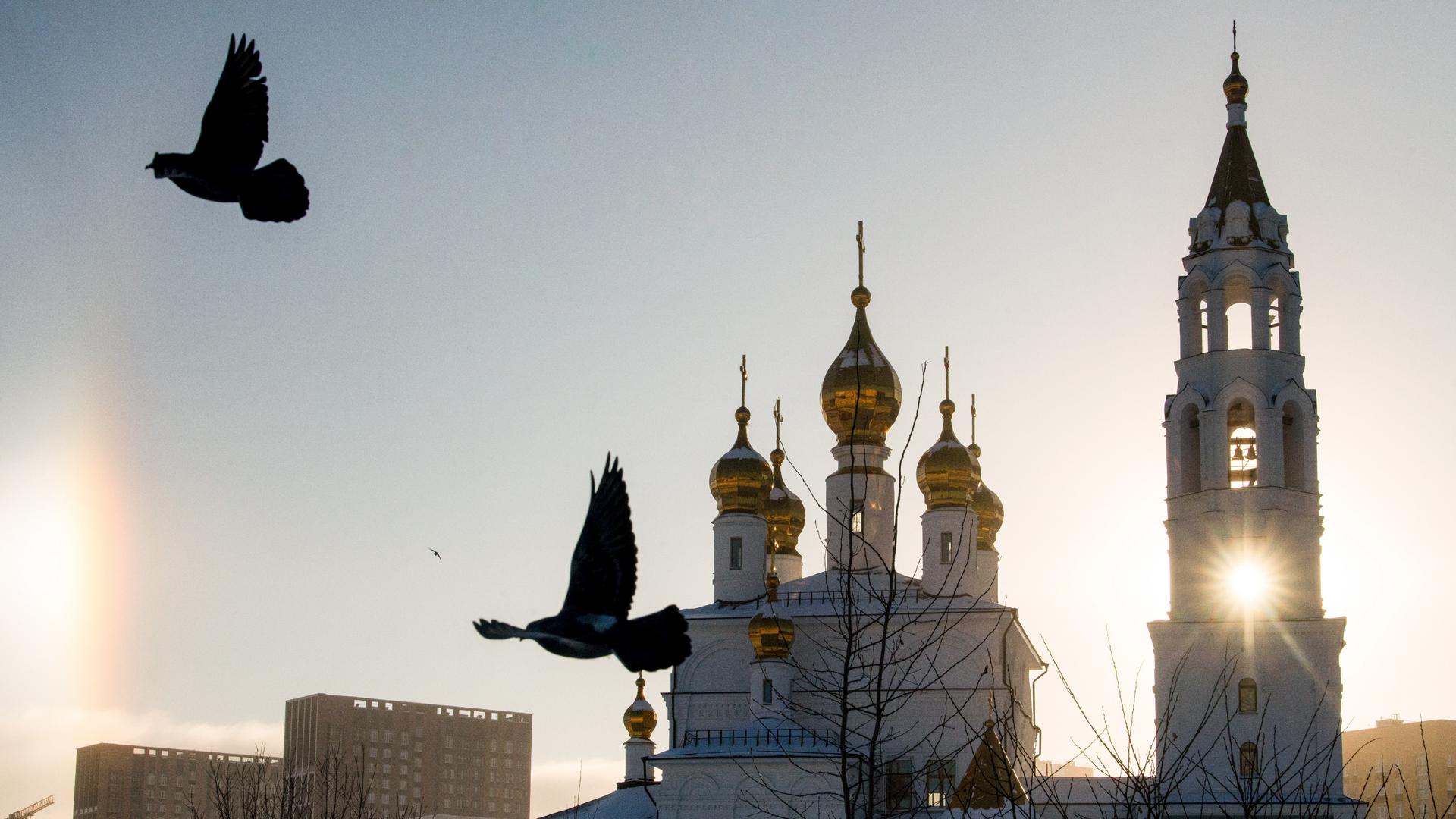 Фото: Global Look Press