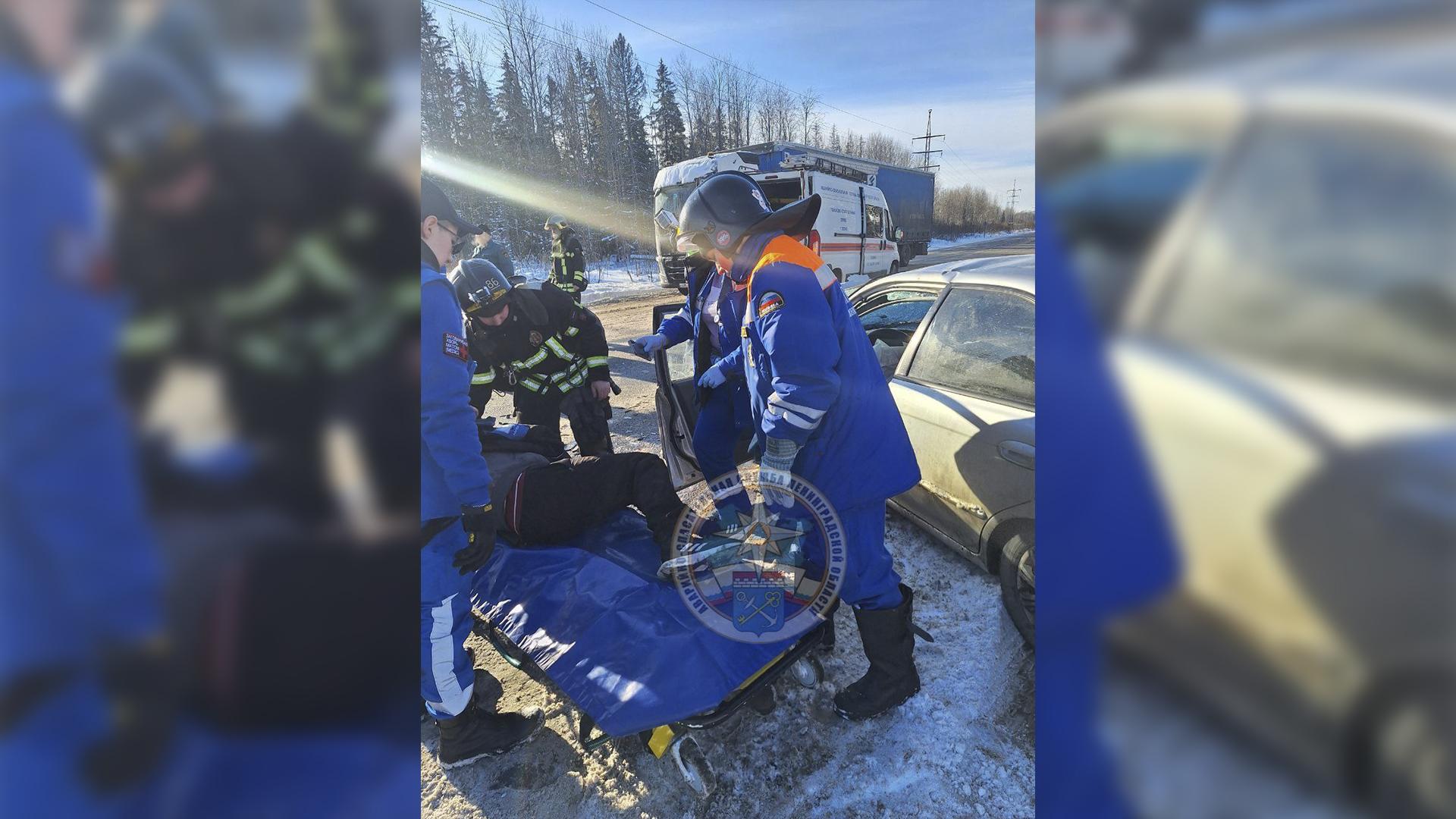 Фото: t.me acclenobl