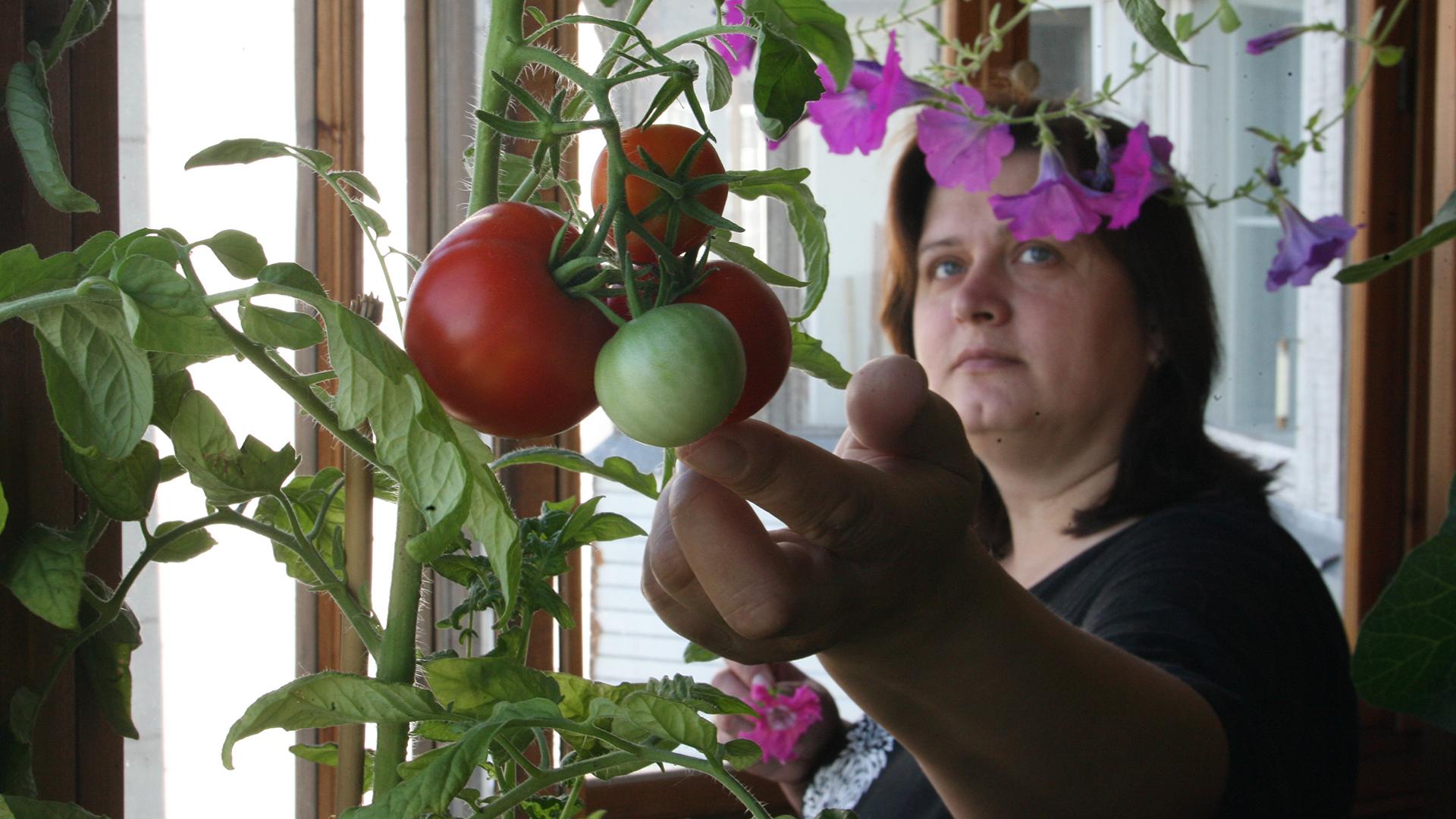 Фото: ИЗВЕСТИЯ Анатолий Жданов