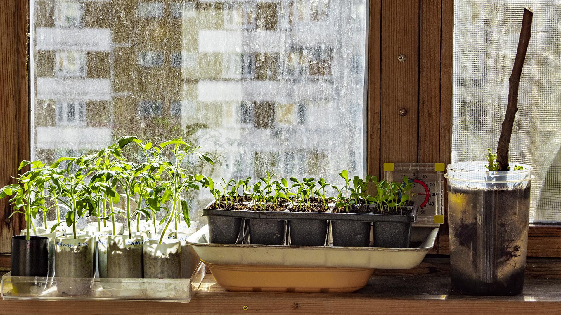 Фото: ИЗВЕСТИЯ Константин Кокошкин