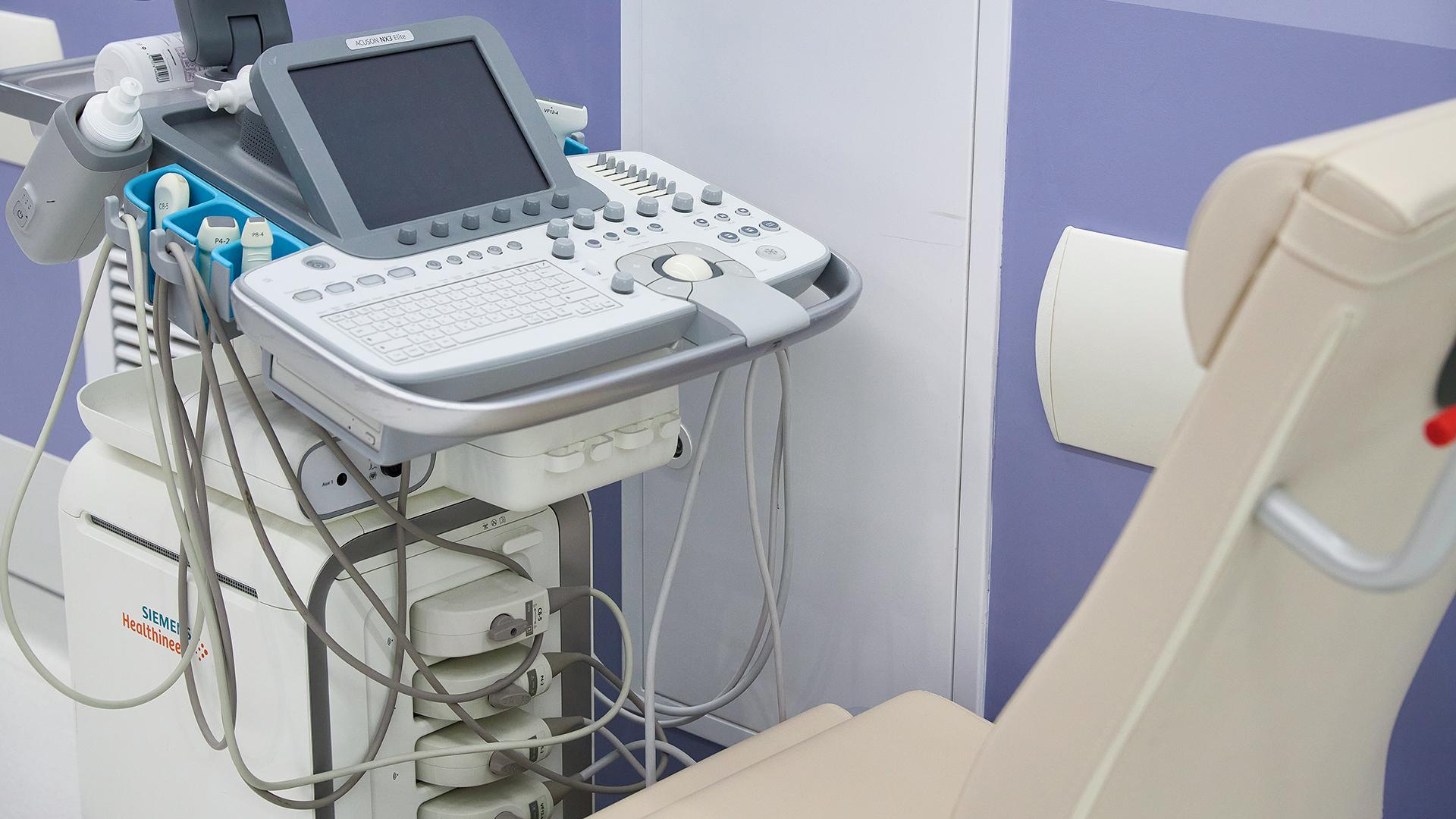 Фото: ИЗВЕСТИЯ Полина Фиолет