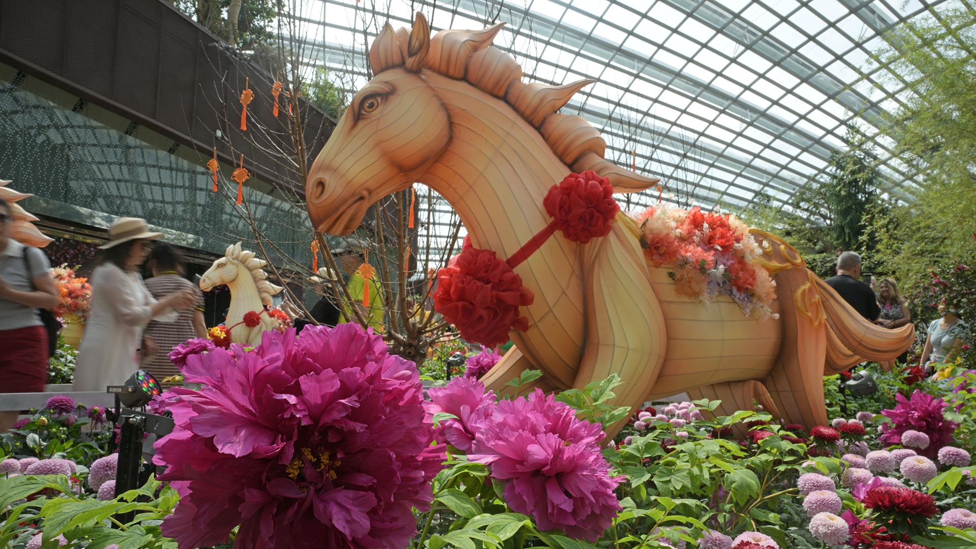 Подготовка к китайскому новому году в Сингапуре  Фото: Then Chih Wey globallookpress.com