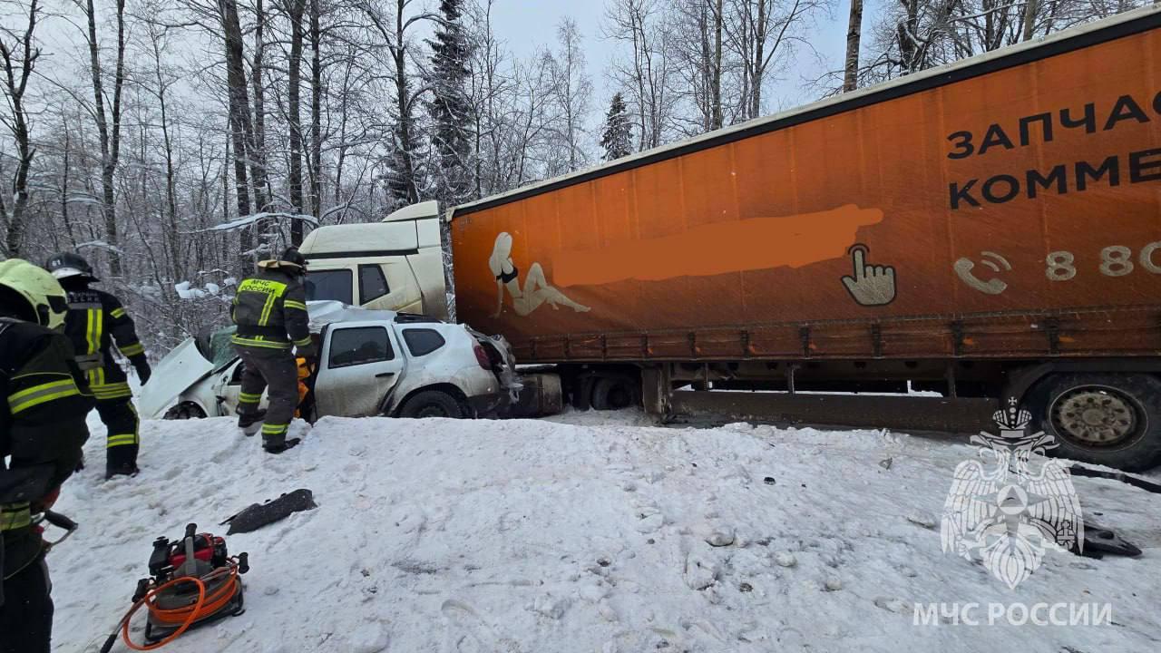 Фото: t.me gumchslo