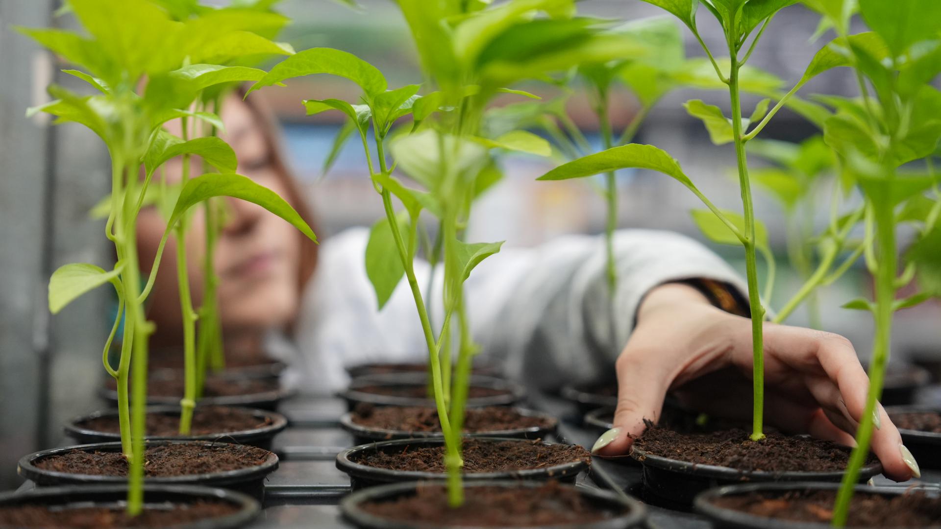 Фото: ИЗВЕСТИЯ Эдуард Корниенко