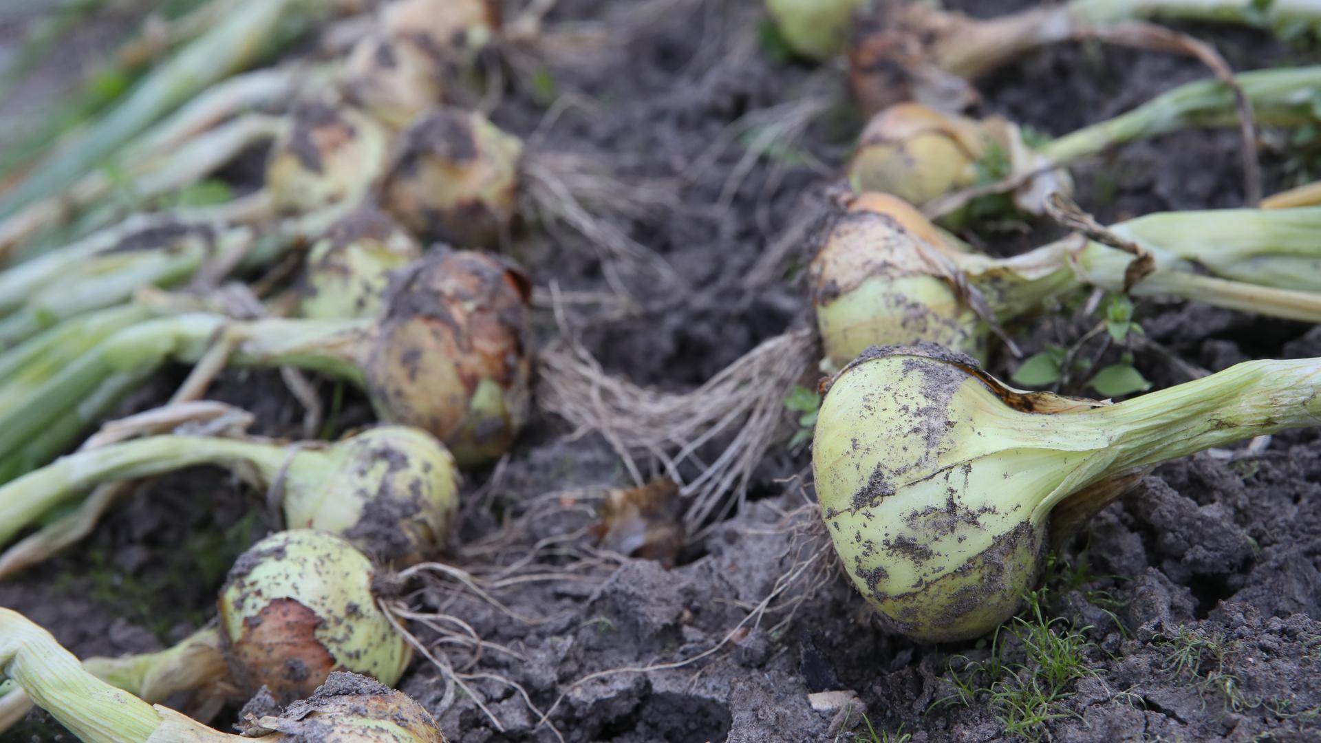 Фото: ALEXANDR KAZAKOV Александр Казаков