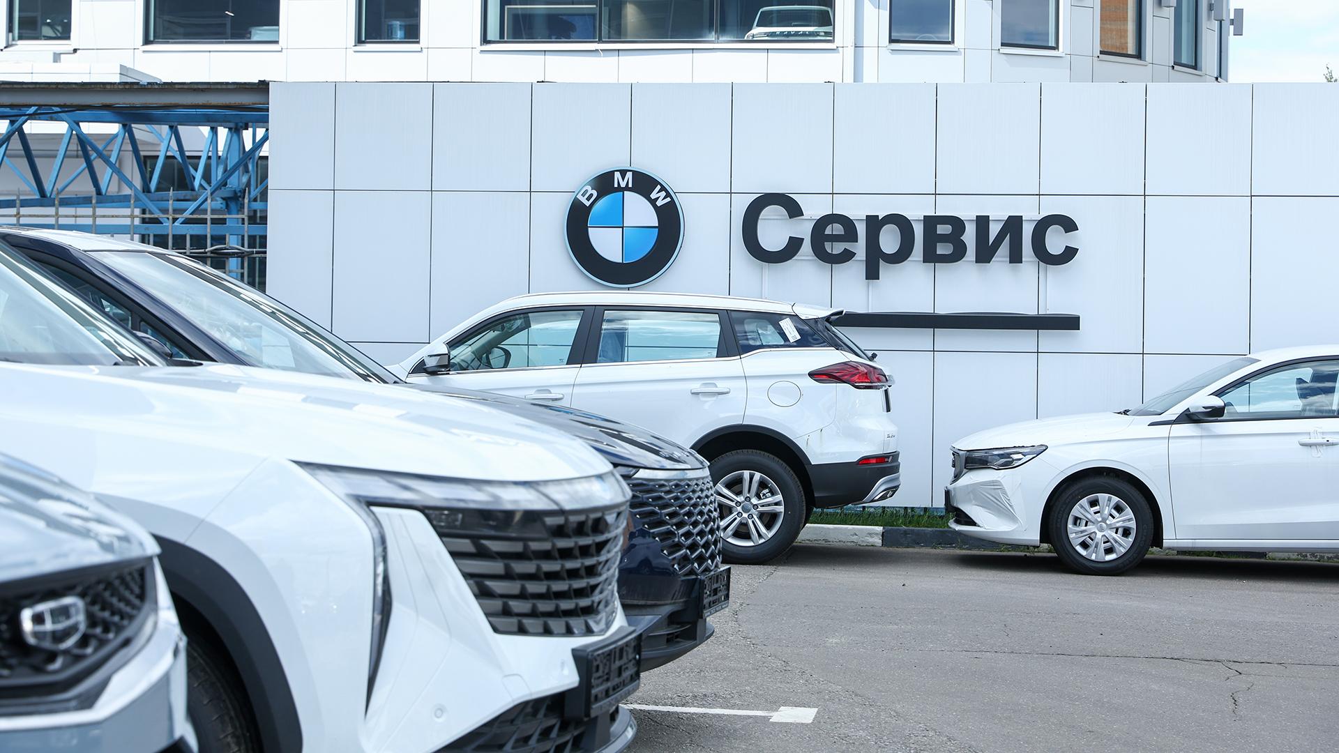 Фото: Petrov Sergey globallookpress.com