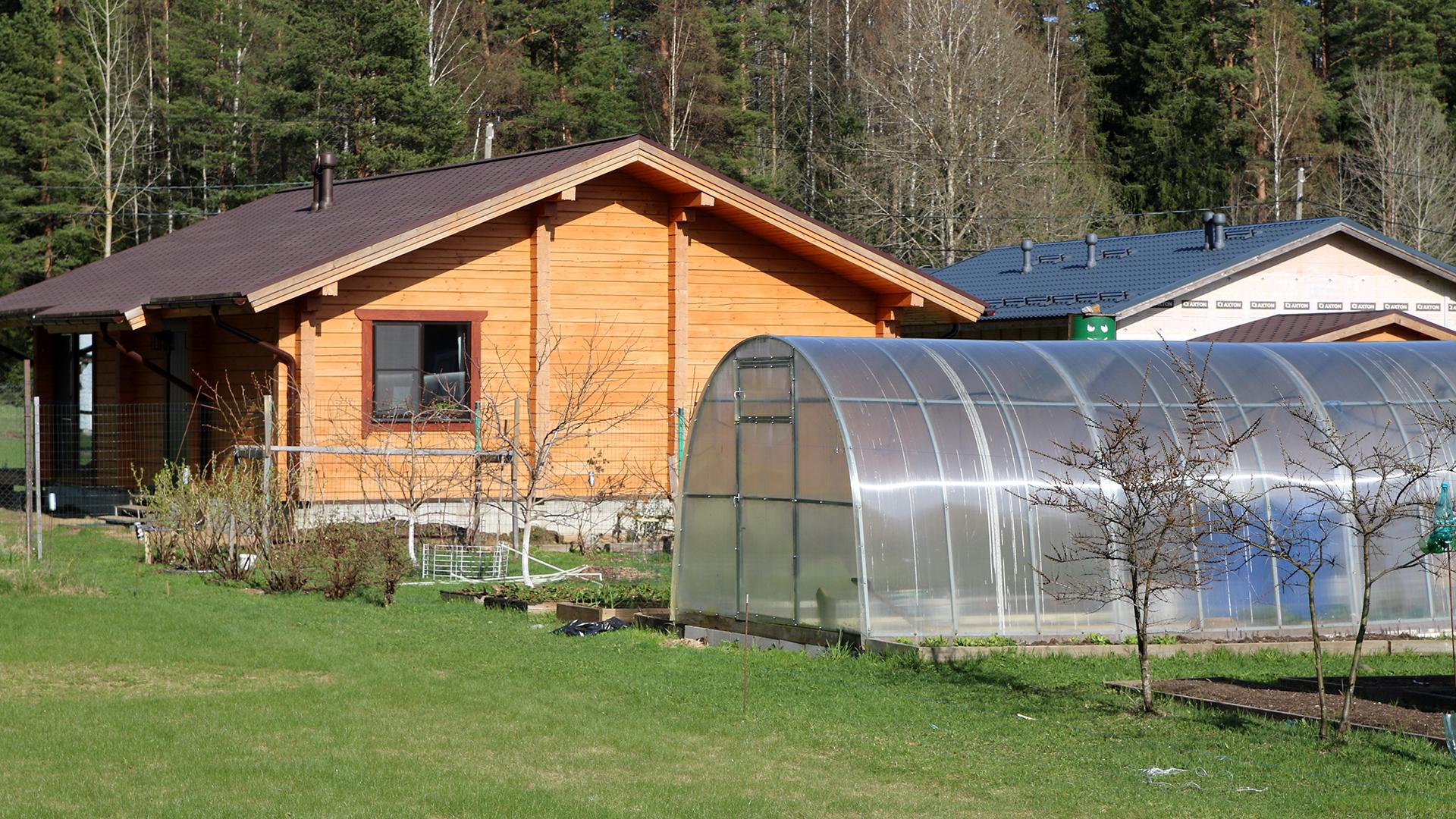 Фото: Maksim Konstantinov globallookpress.com