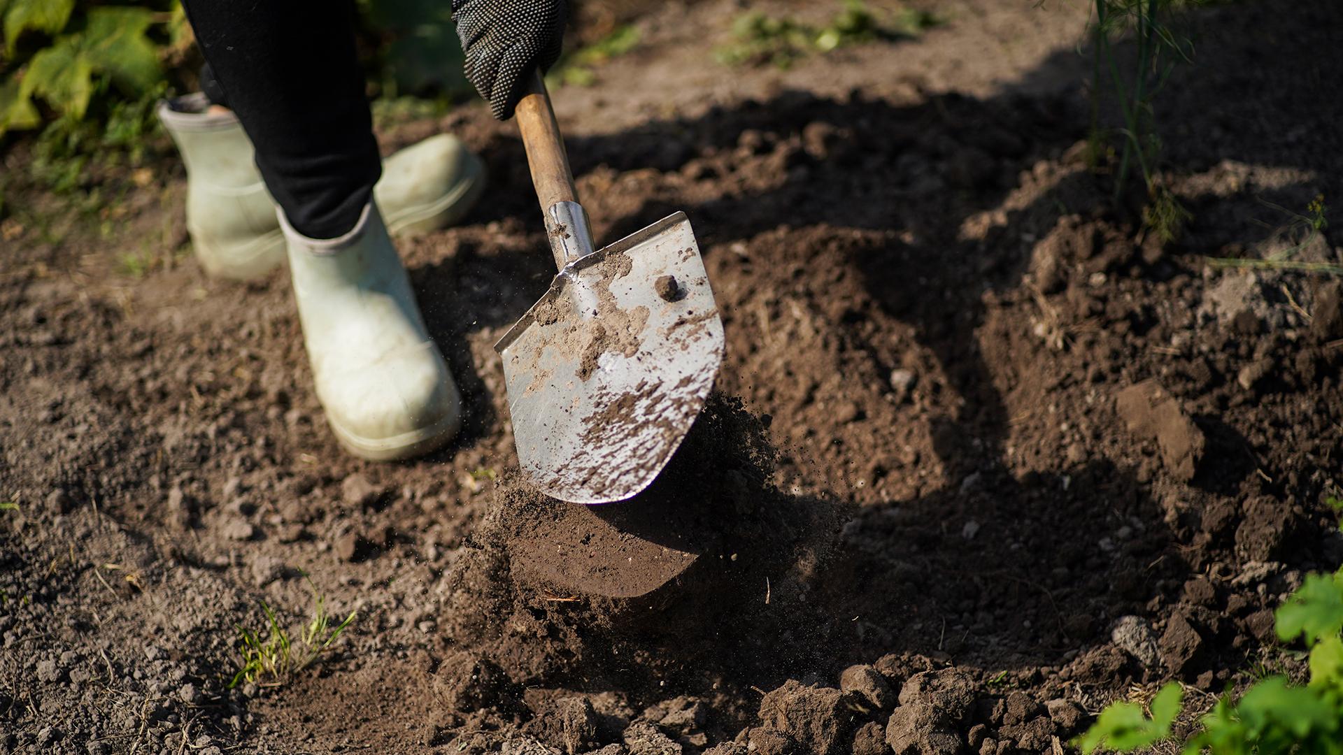 Фото: ИЗВЕСТИЯ Сергей Лантюхов