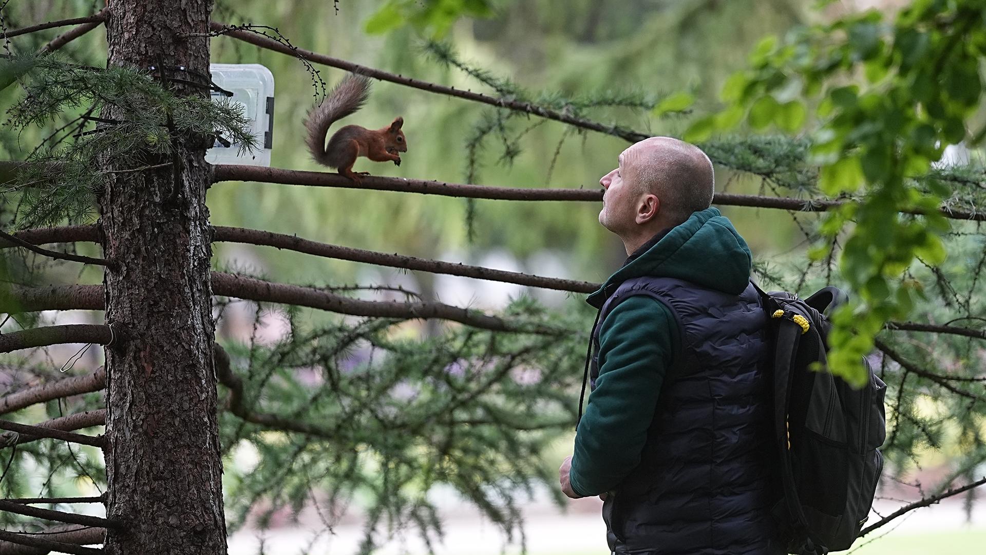 Фото: ИЗВЕСТИЯ Павел Волков