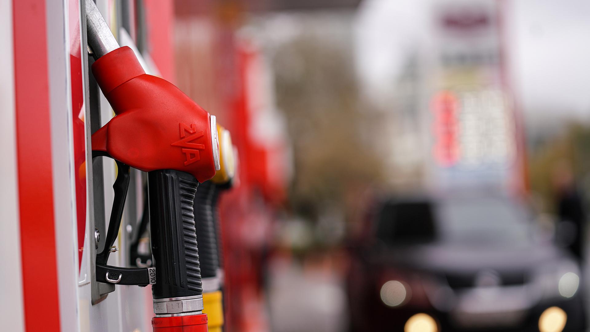 Фото: ИЗВЕСТИЯ Анна Селина