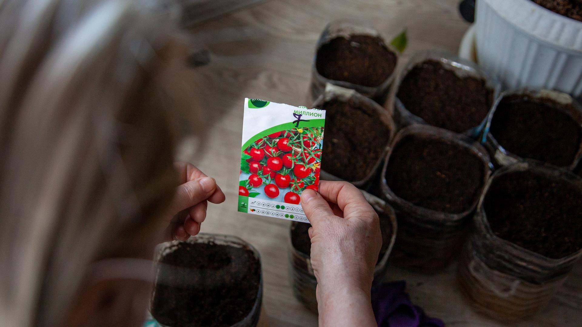 Фото: Oksana Korol Business Online