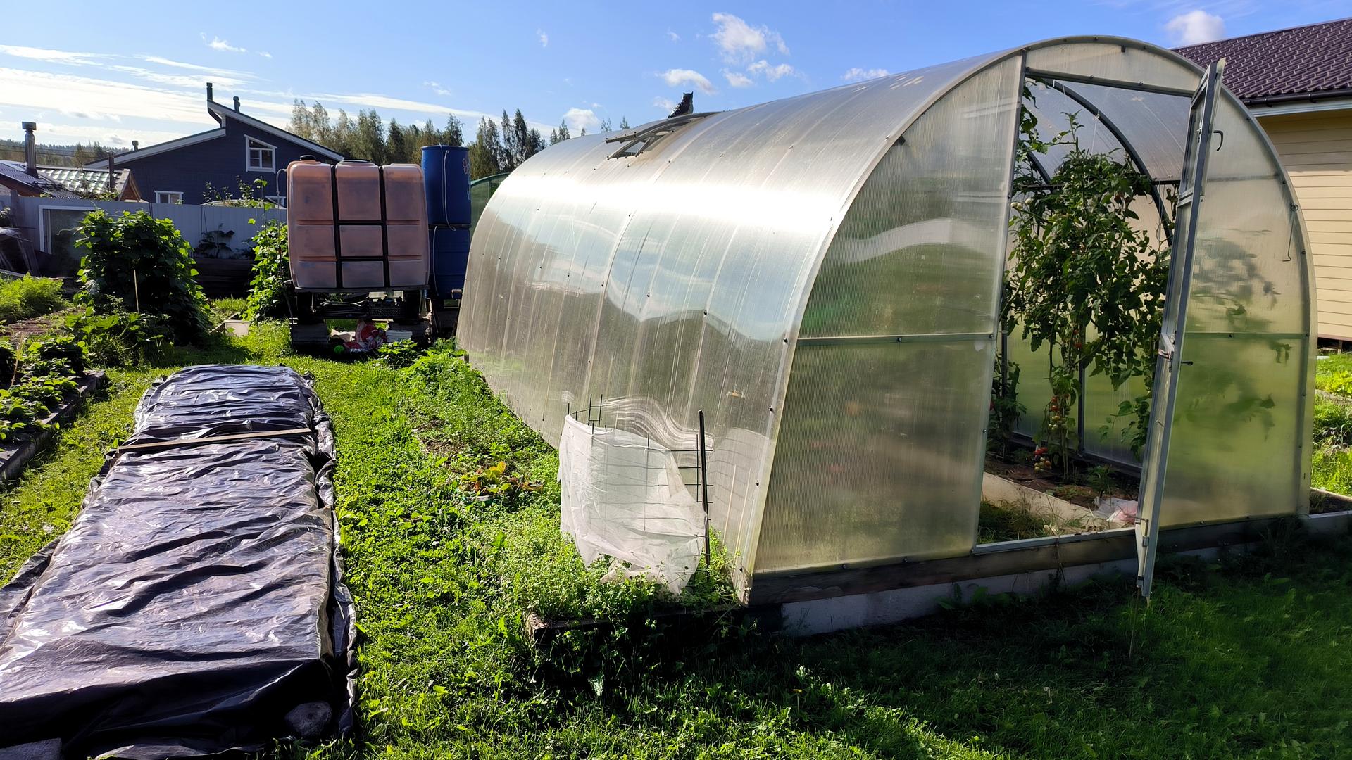 Фото: Maksim Konstantinov Global Look Press