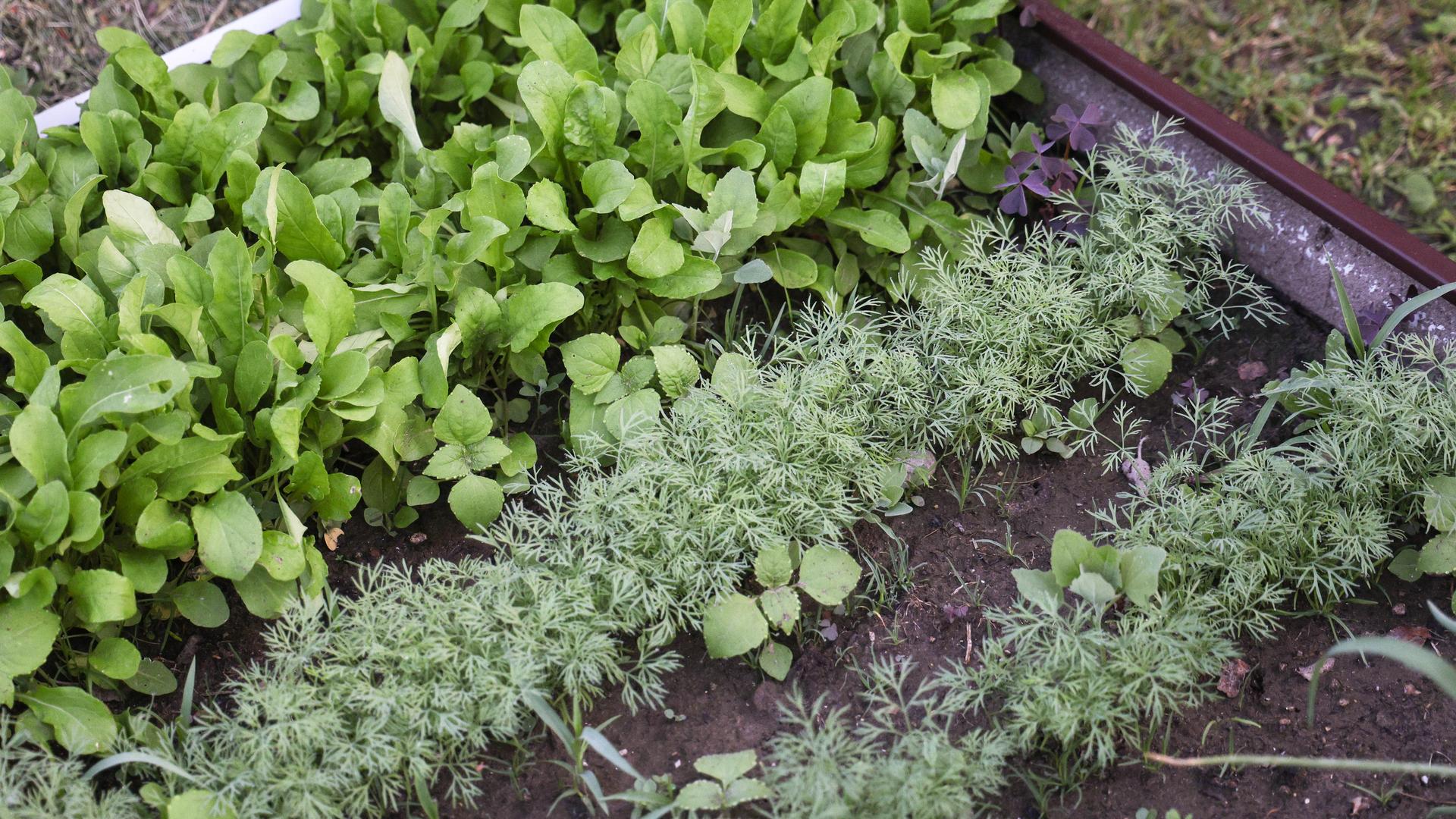 Фото: Oksana Korol Business Online