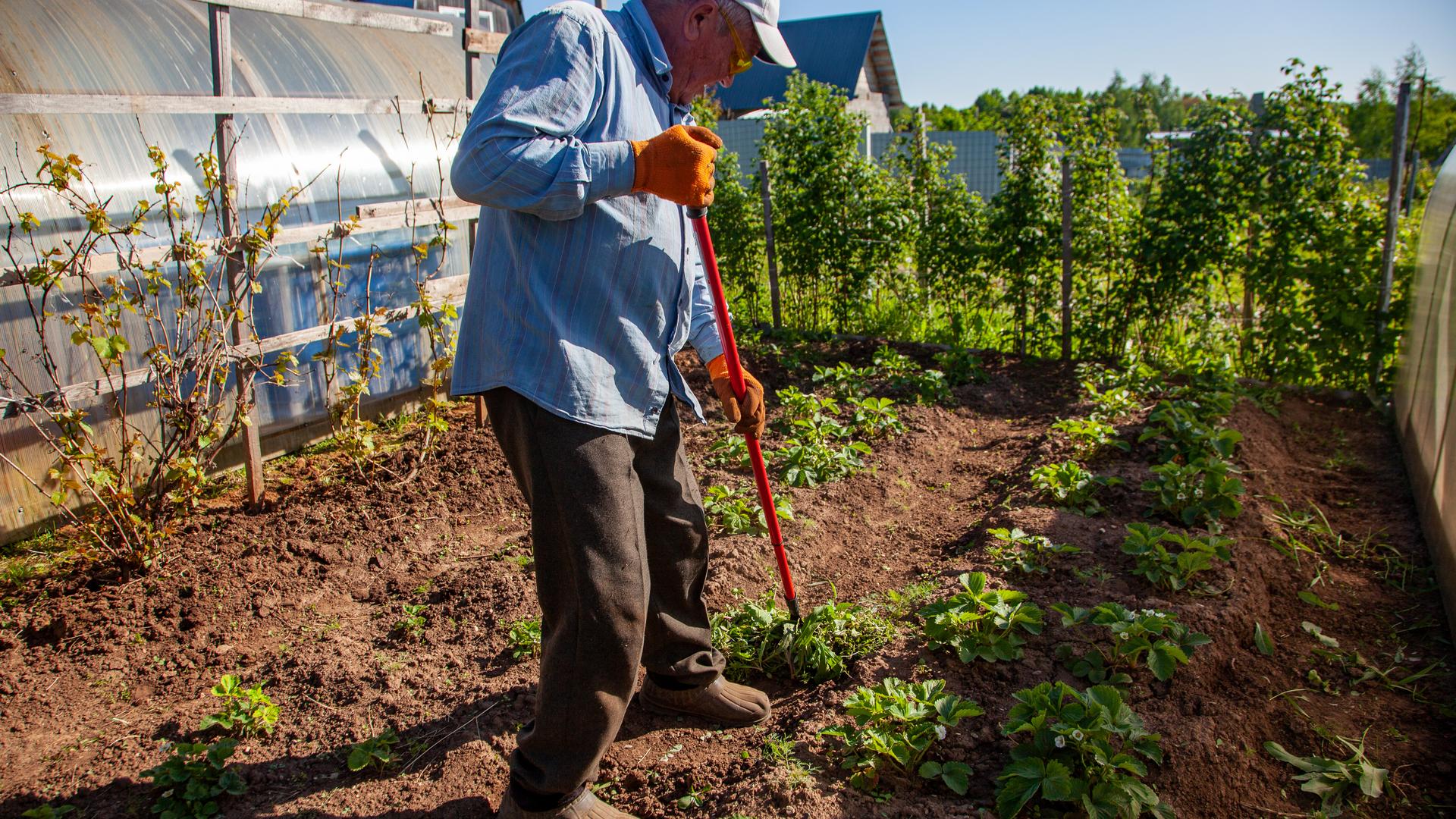 Фото: Oksana Korol Business Online