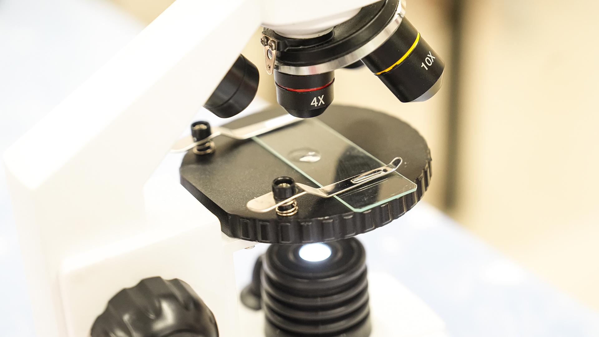 Фото: ИЗВЕСТИЯ Андрей Эрштрем