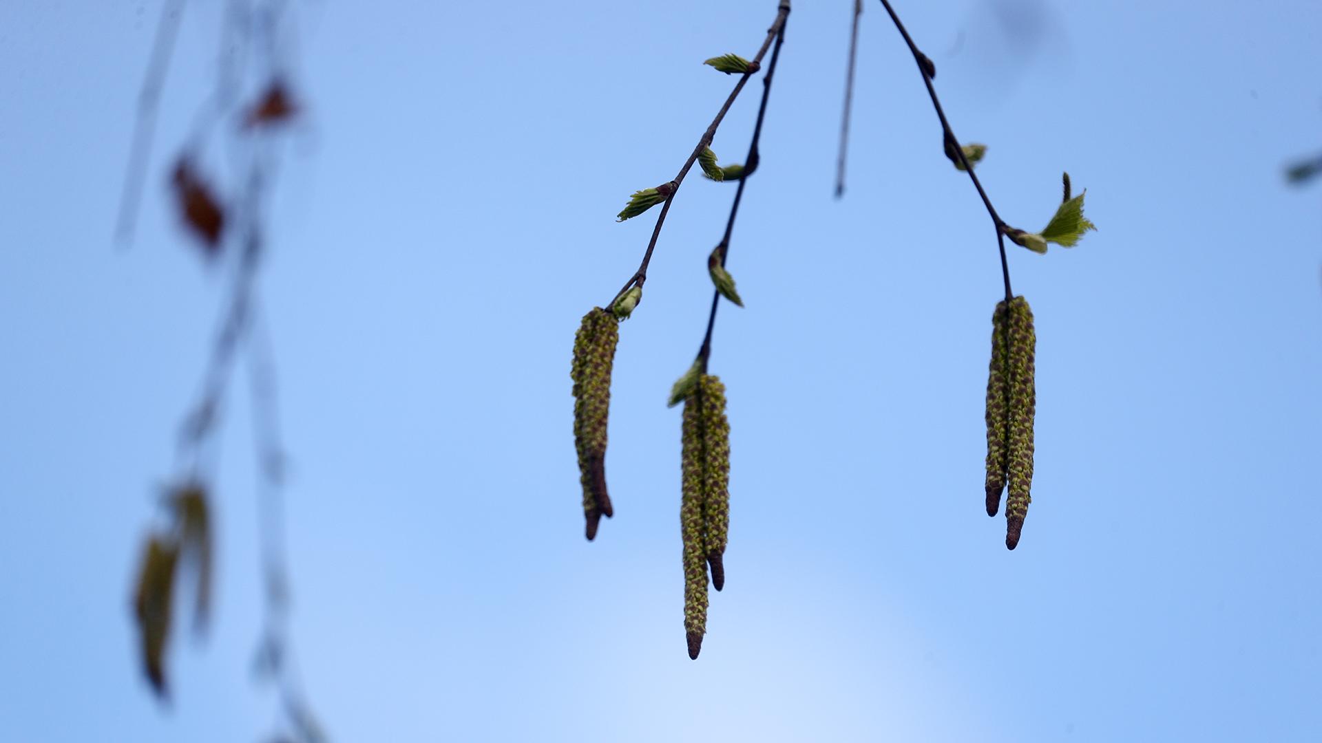Фото: Belkin Aleksey globallookpress.com