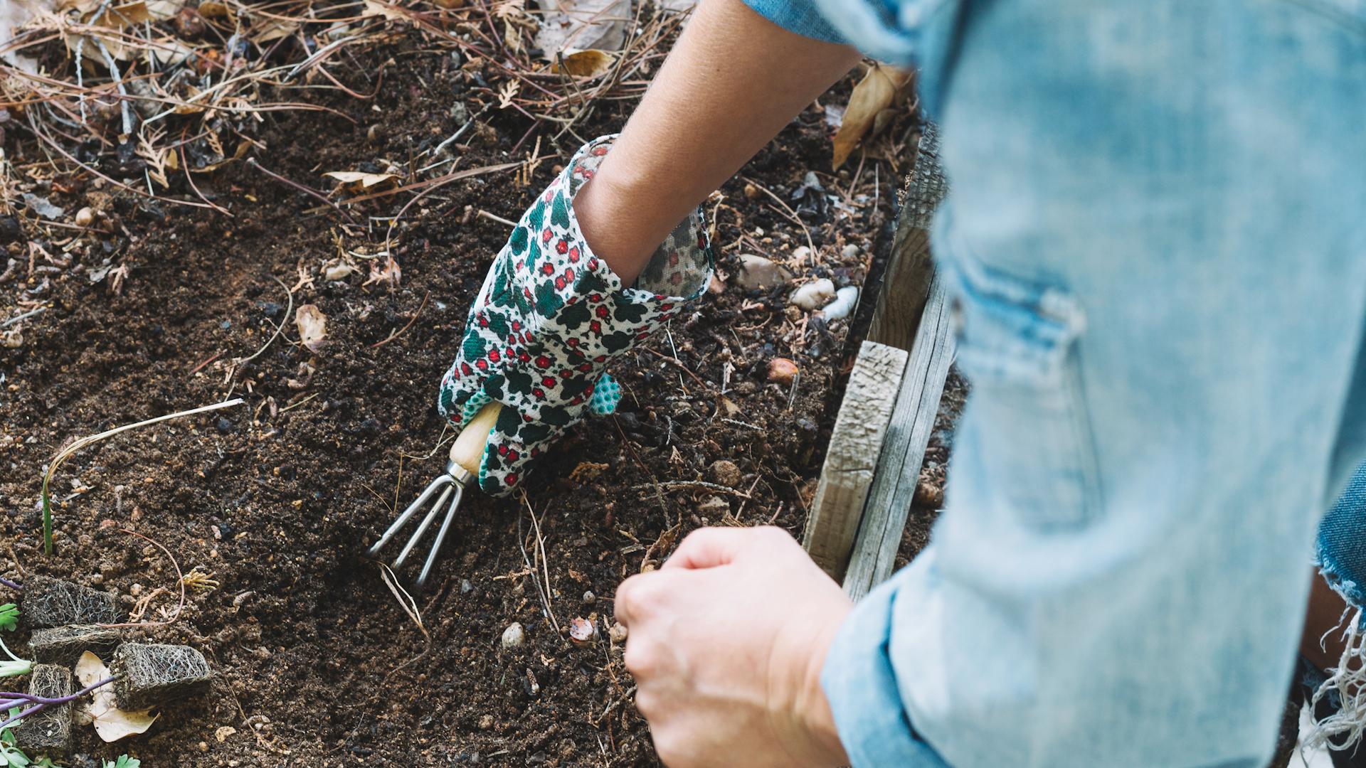 Фото: freepik.com