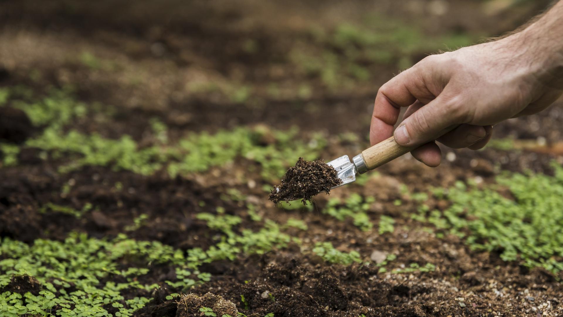 Фото: freepik.com