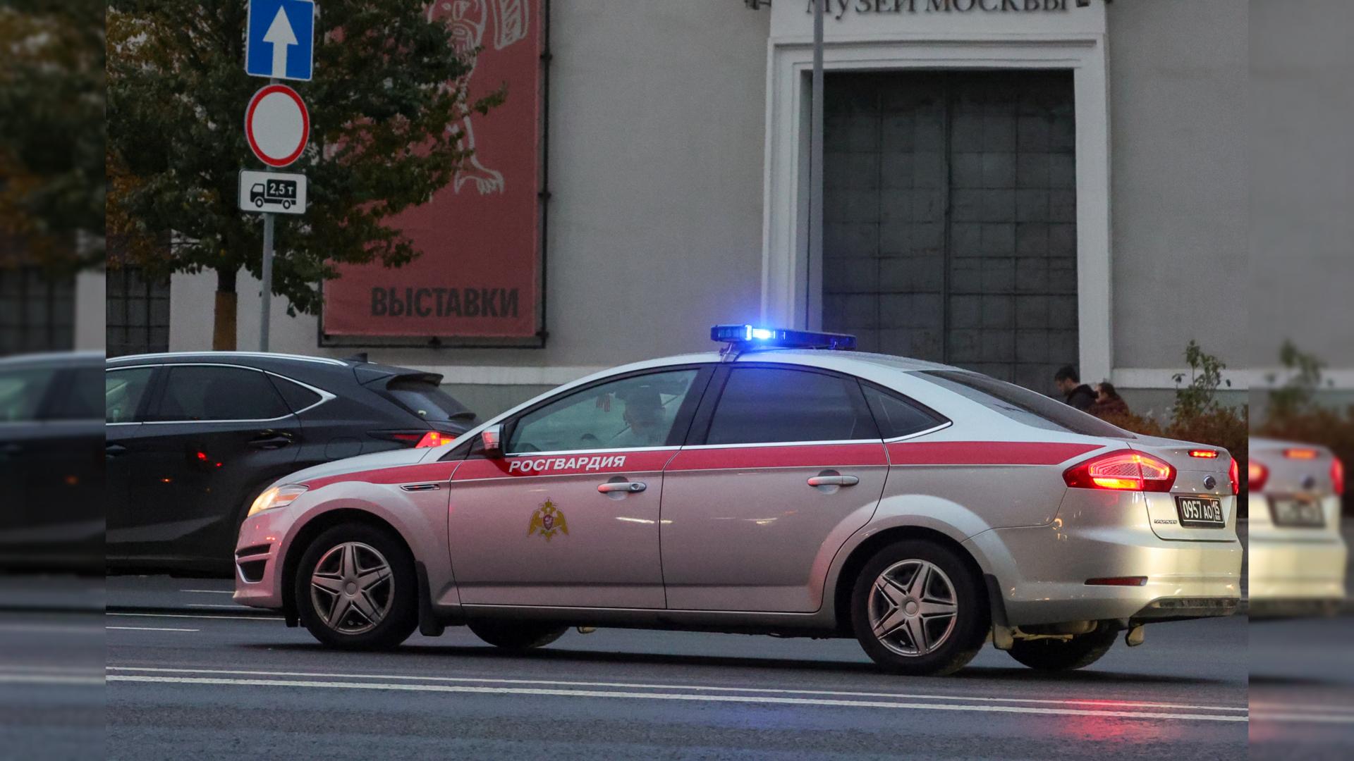 Фото: Shatokhina Natalia globallookpress.com