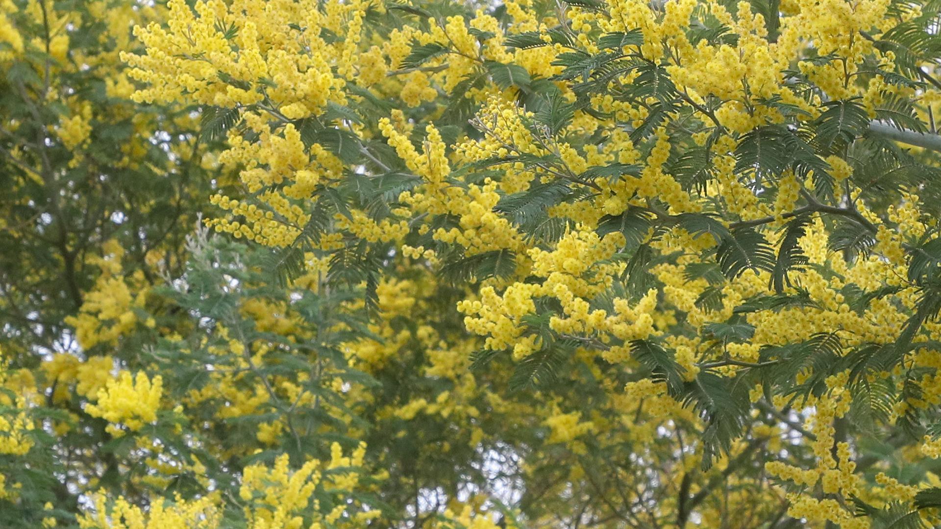 Фото: Petrov Sergey globallookpress.com