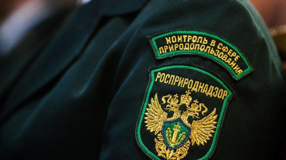 Фото: Roscosmos globallookpress.com