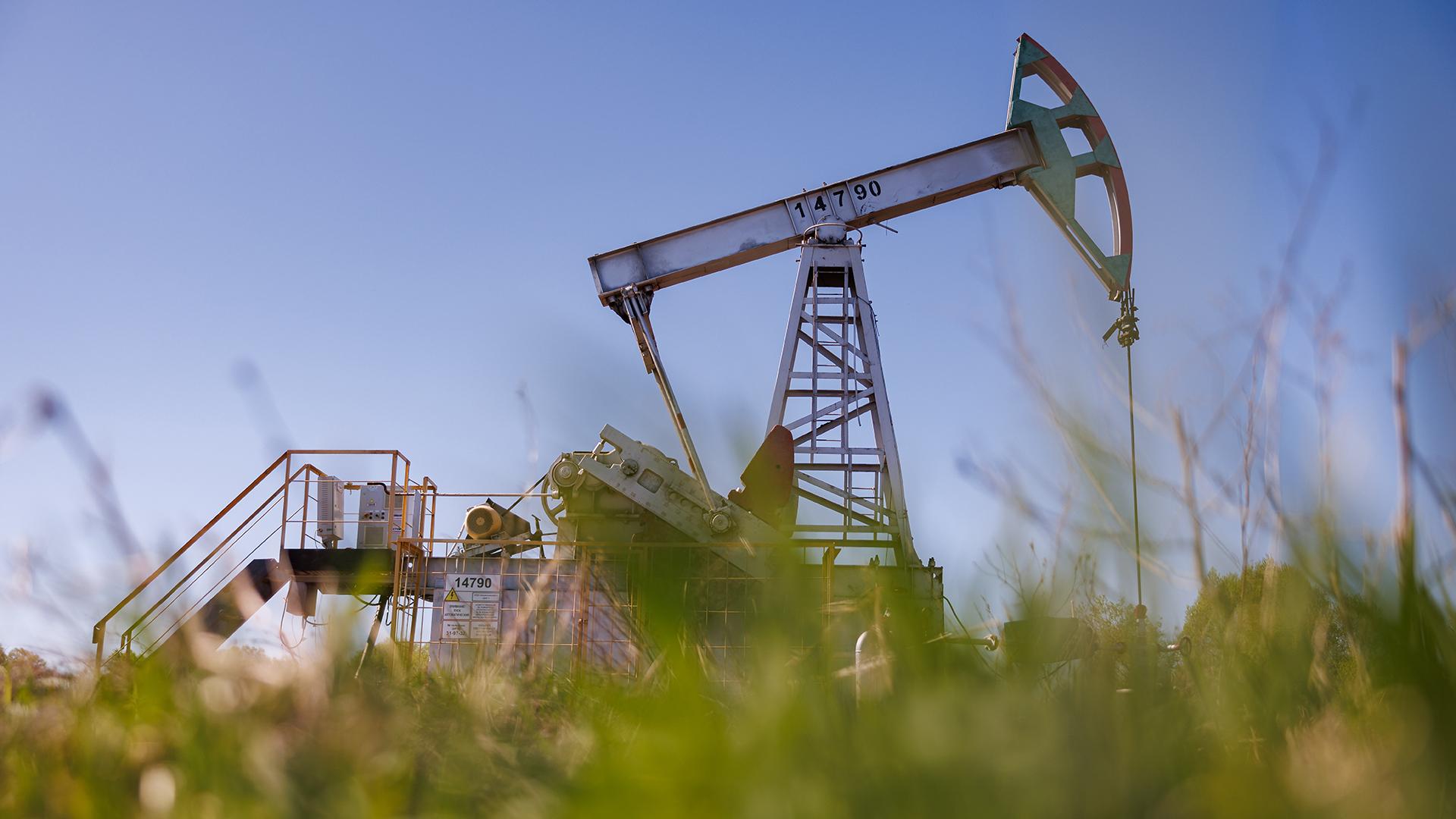 Фото: Sergey Elagin globallookpress.com