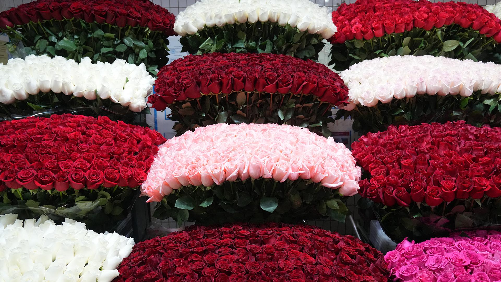 Фото: ИЗВЕСТИЯ Дмитрий Коротаев