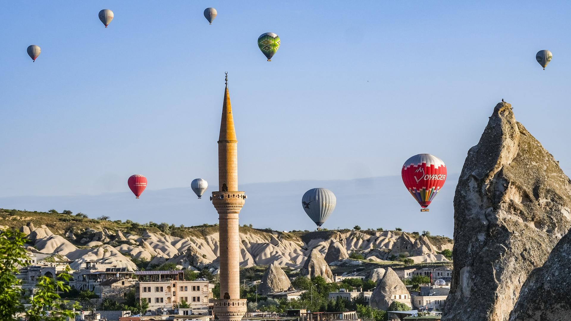 Фото: Jens Kalaene globallookpress.com