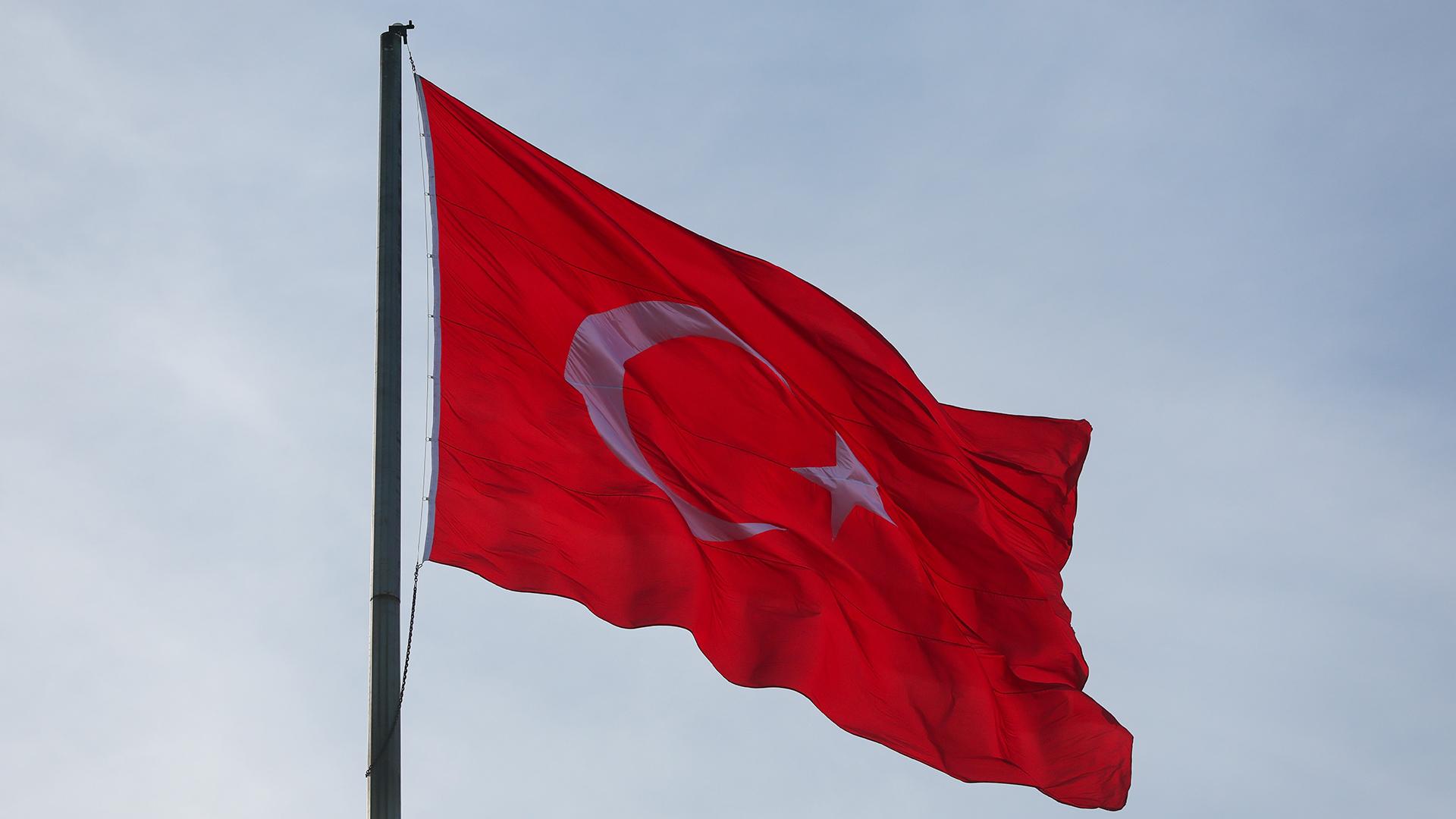 Фото: Belkin Alexey globallookpress.com