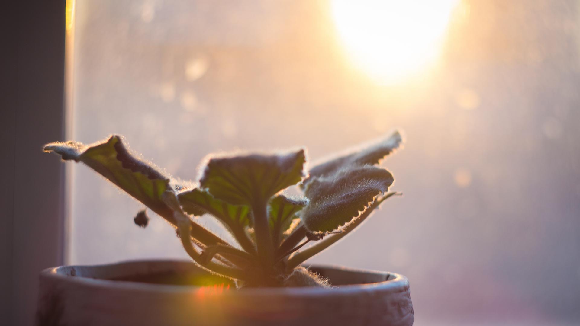 Фото: pixabay.com