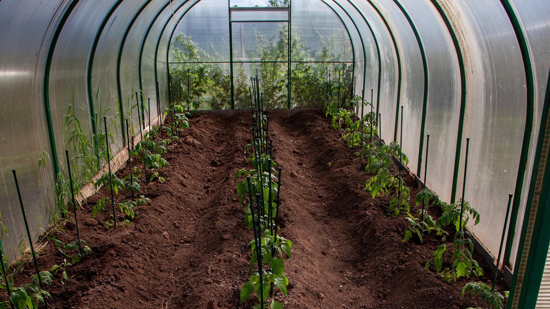 Фото: Oksana Korol globallookpress.com