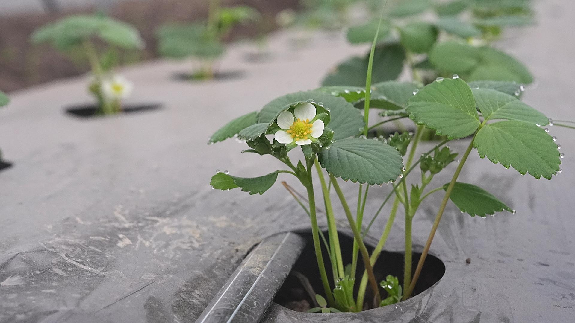 Фото: ИЗВЕСТИЯ Павел Волков