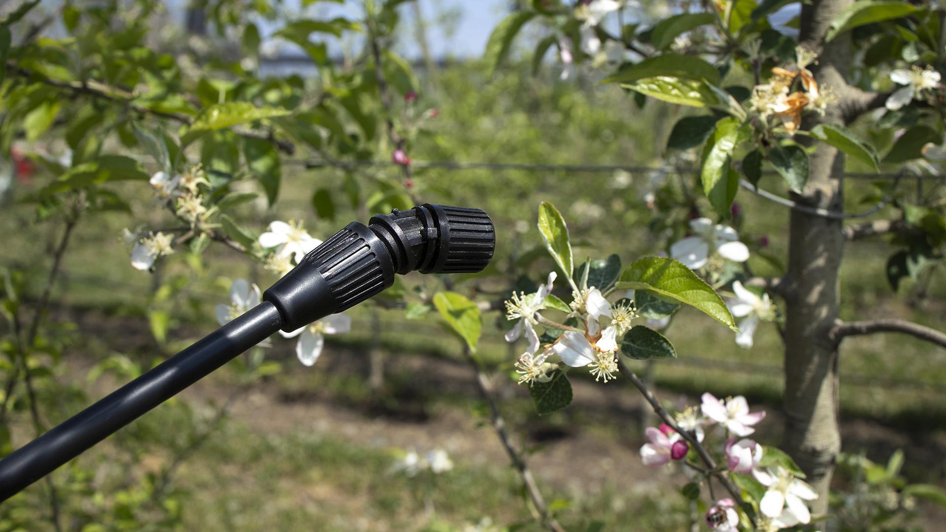 Фото: freepik.com aleksandarlittlewolf