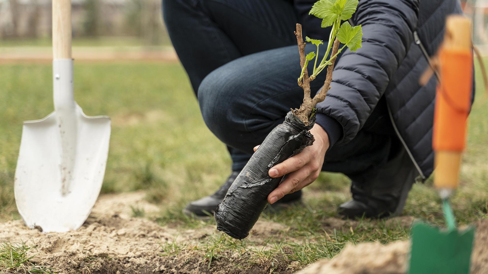 Фото: freepik.com