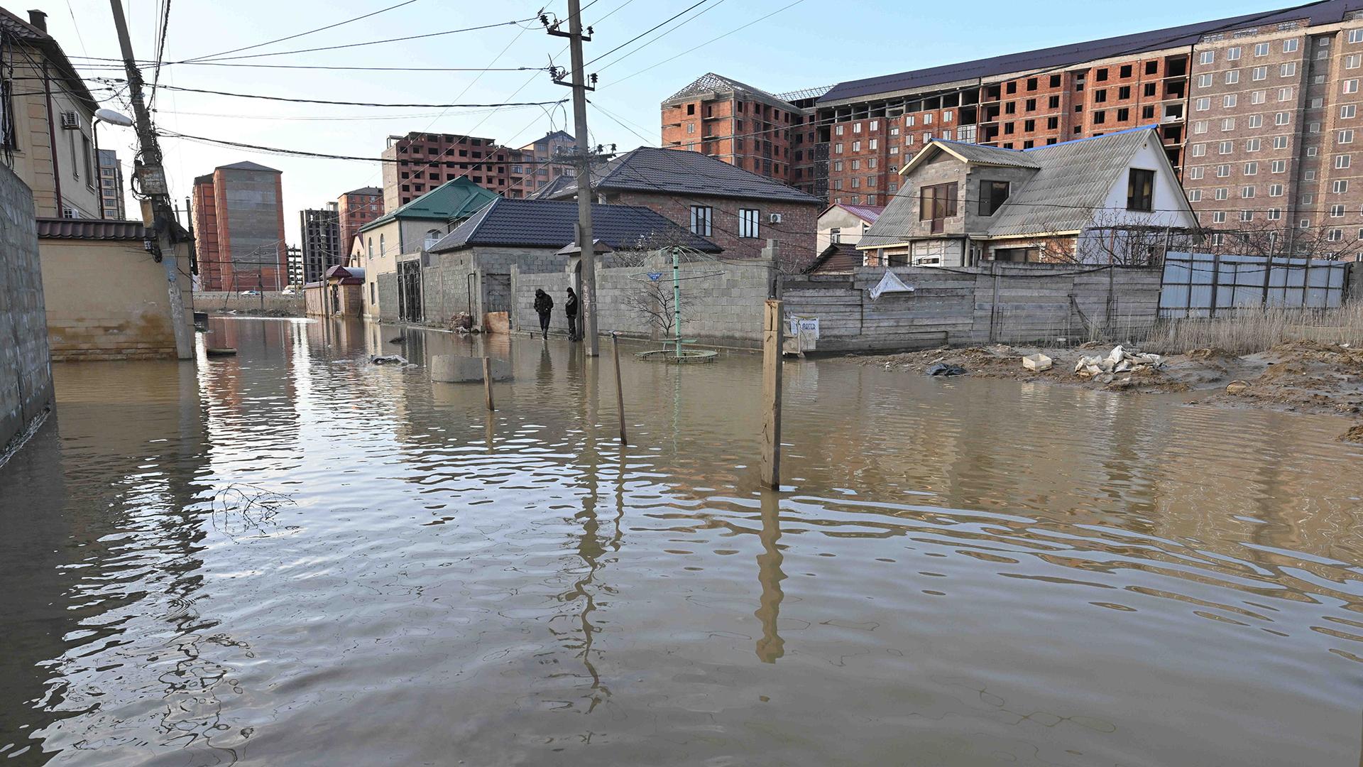 Фото: Komsomolskaya Pravda globallookpress.com