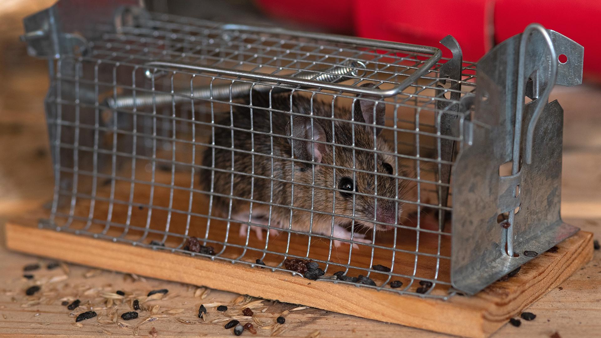 Фото: Tim Brakemeier globallookpress.com