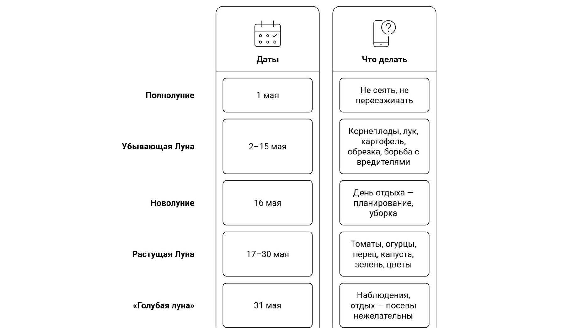 Фото: 78.ru