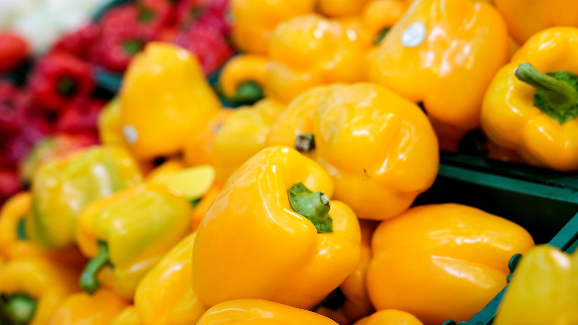 Фото: ИЗВЕСТИЯ Анна Селина