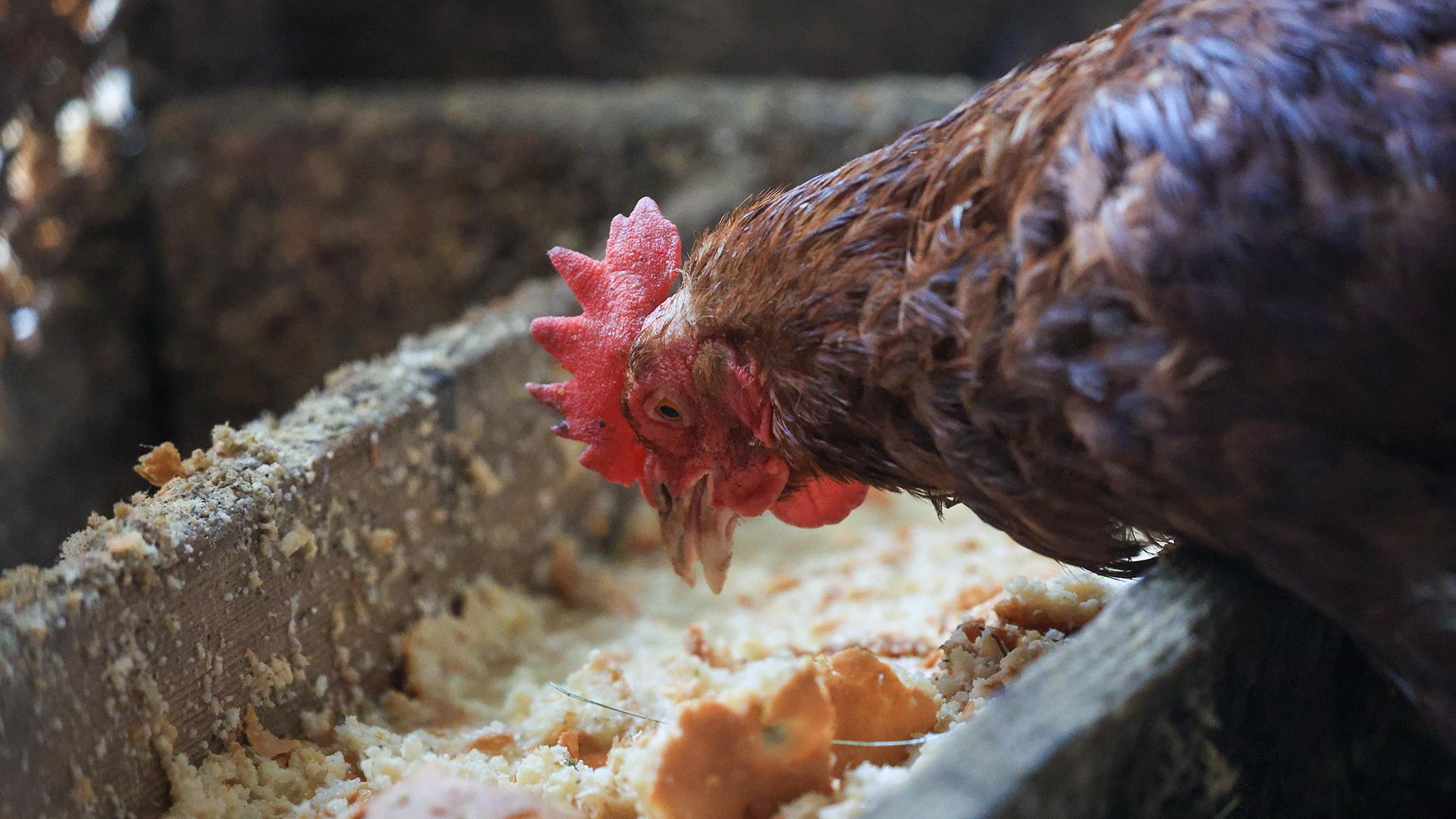 Фото: Shatokhina Natalia globallookpress.com