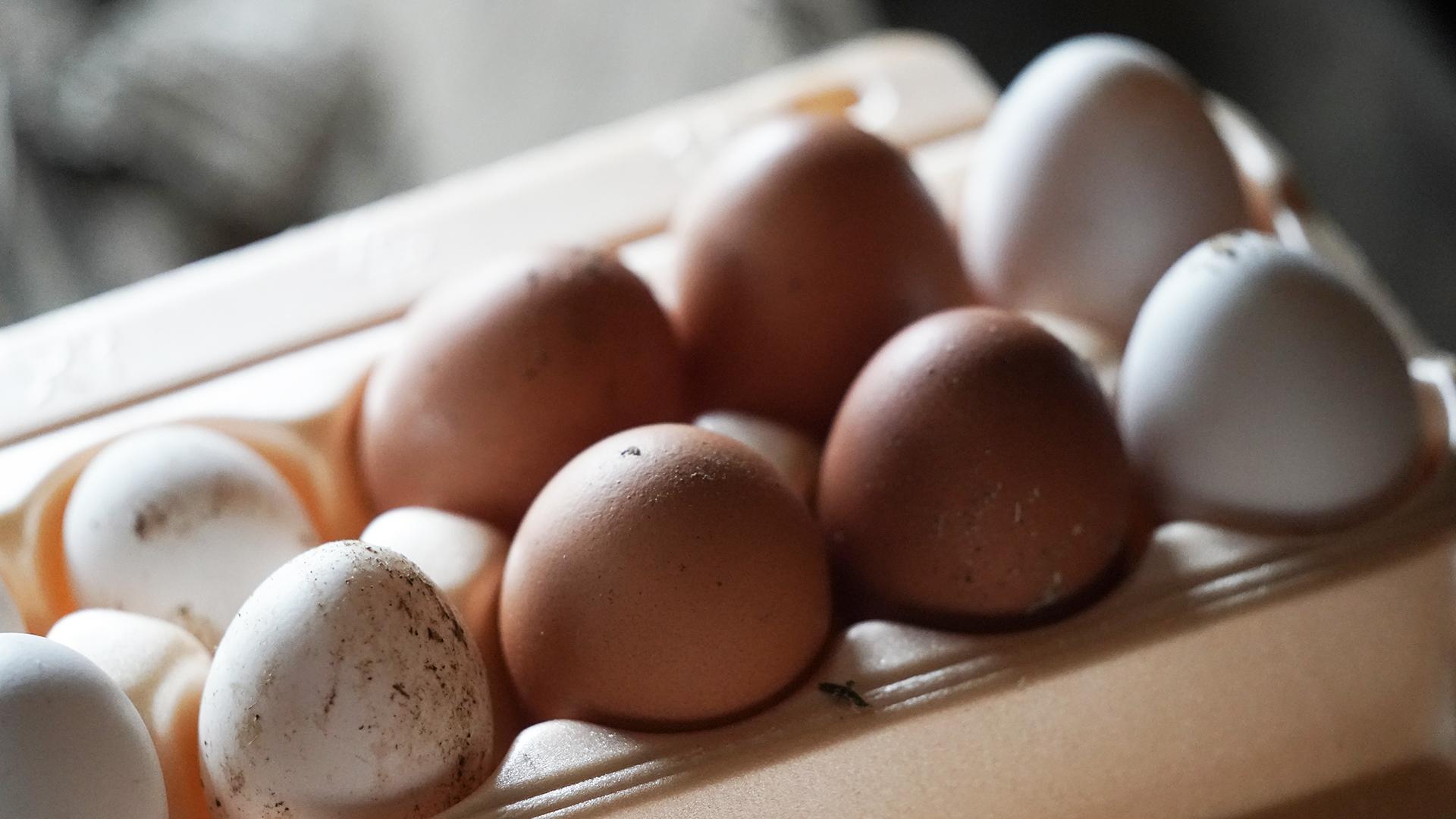 Фото: ИЗВЕСТИЯ Эдуард Корниенко