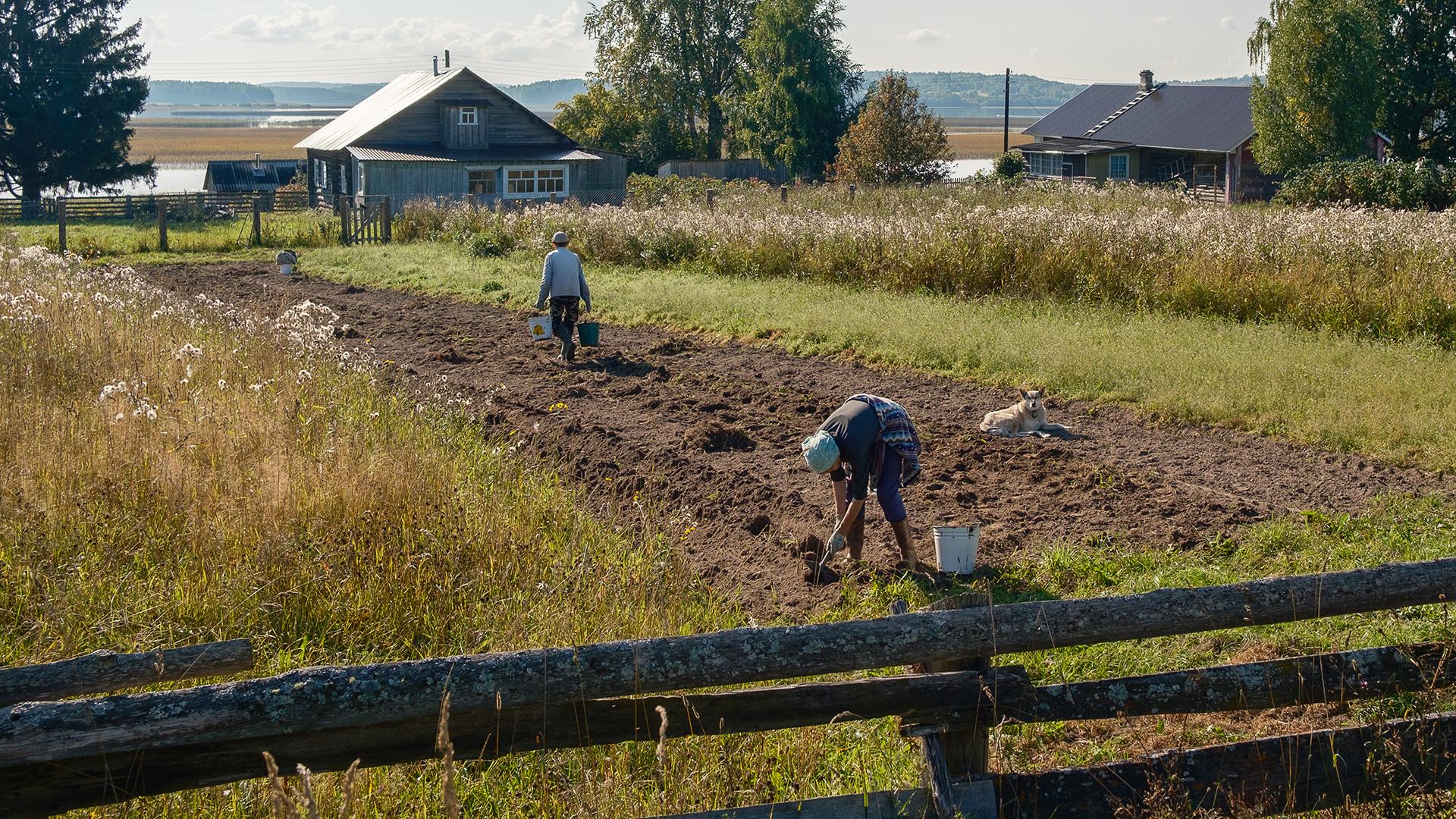 Фото: ИЗВЕСТИЯ Сергей Виноградов