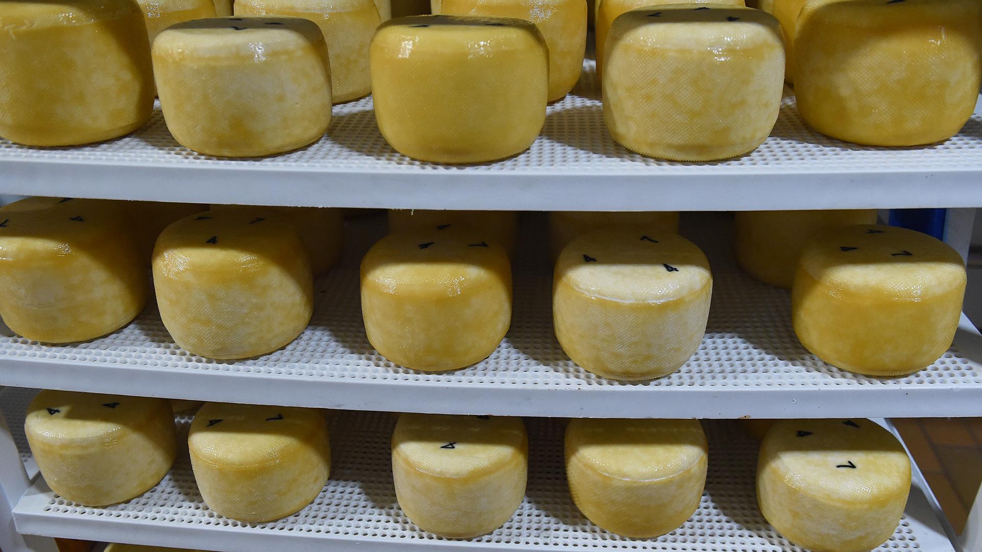 Фото: ИЗВЕСТИЯ Александр Полегенько