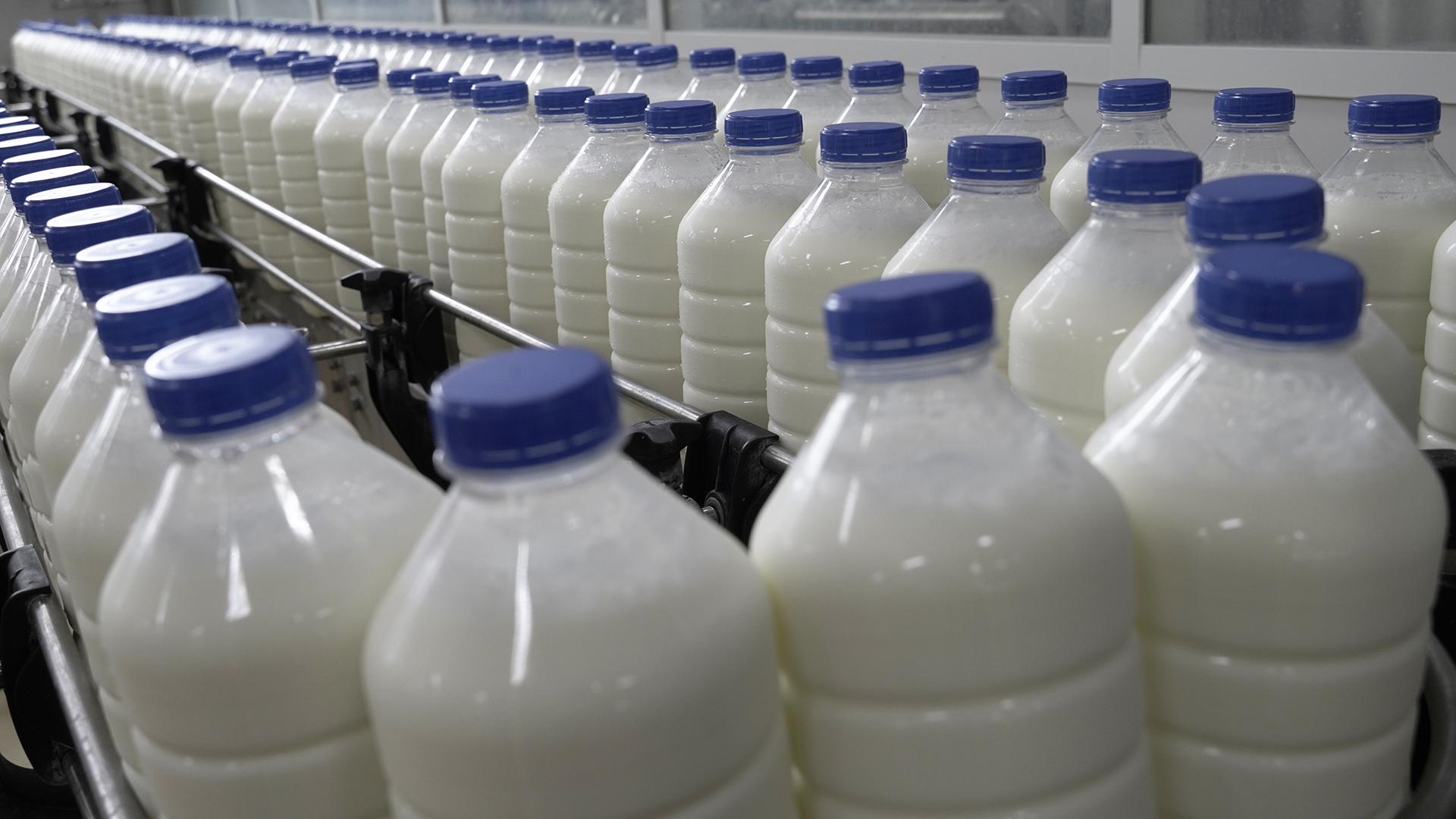 Фото: ИЗВЕСТИЯ Сергей Венявский