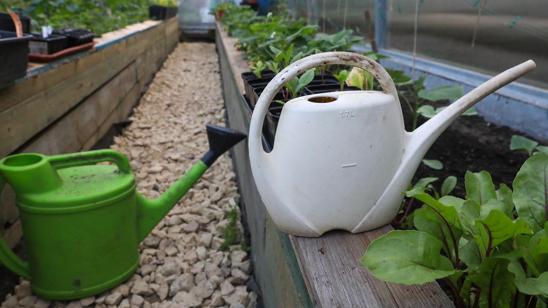 Фото: ИЗВЕСТИЯ Сергей Коньков