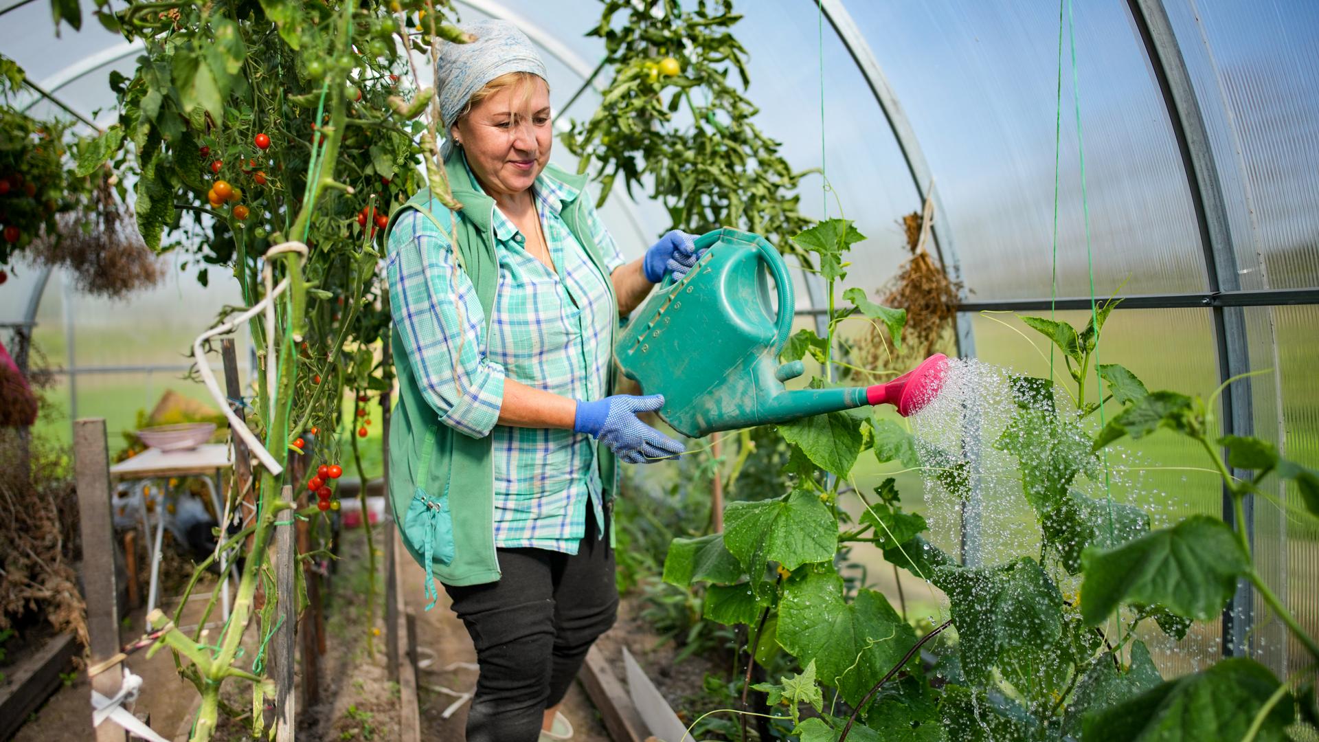 ИЗВЕСТИЯ Сергей Лантюхов
