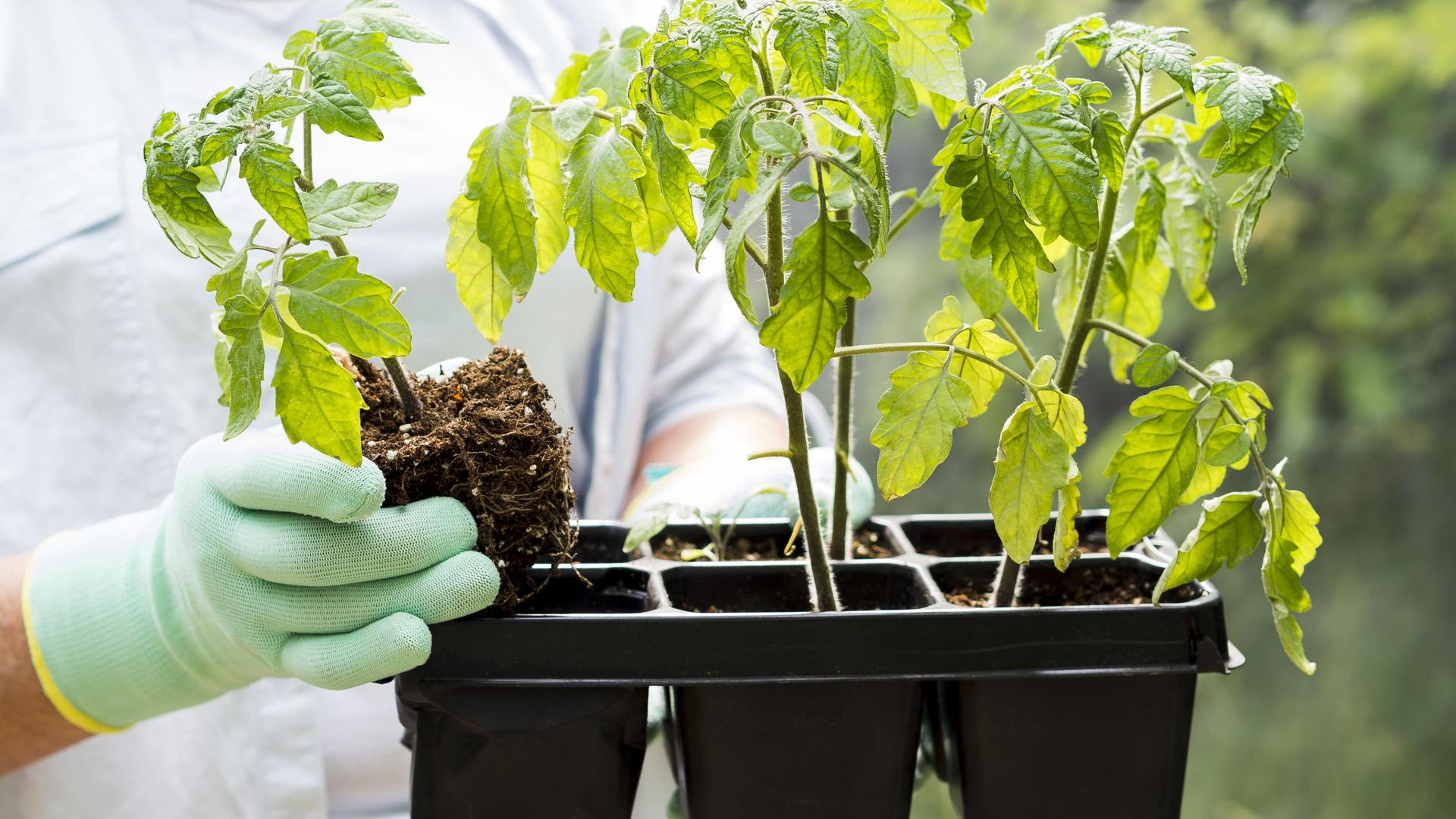 Фото: ru.freepik.com