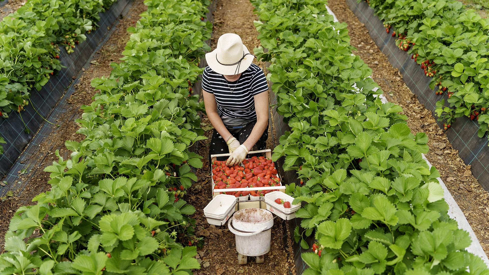 Фото: Andreas Arnold globallookpress.com