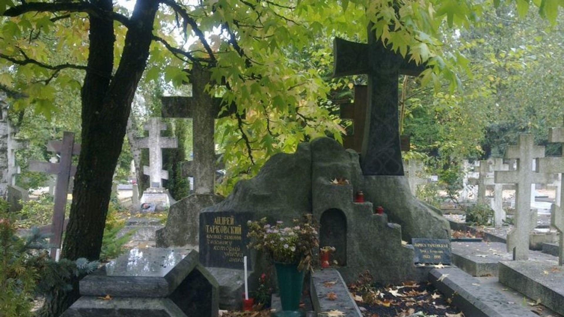 Фото: uznayvse.ru